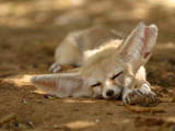 c4b57a0b-s.jpg