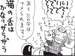 nekoma34.jpg